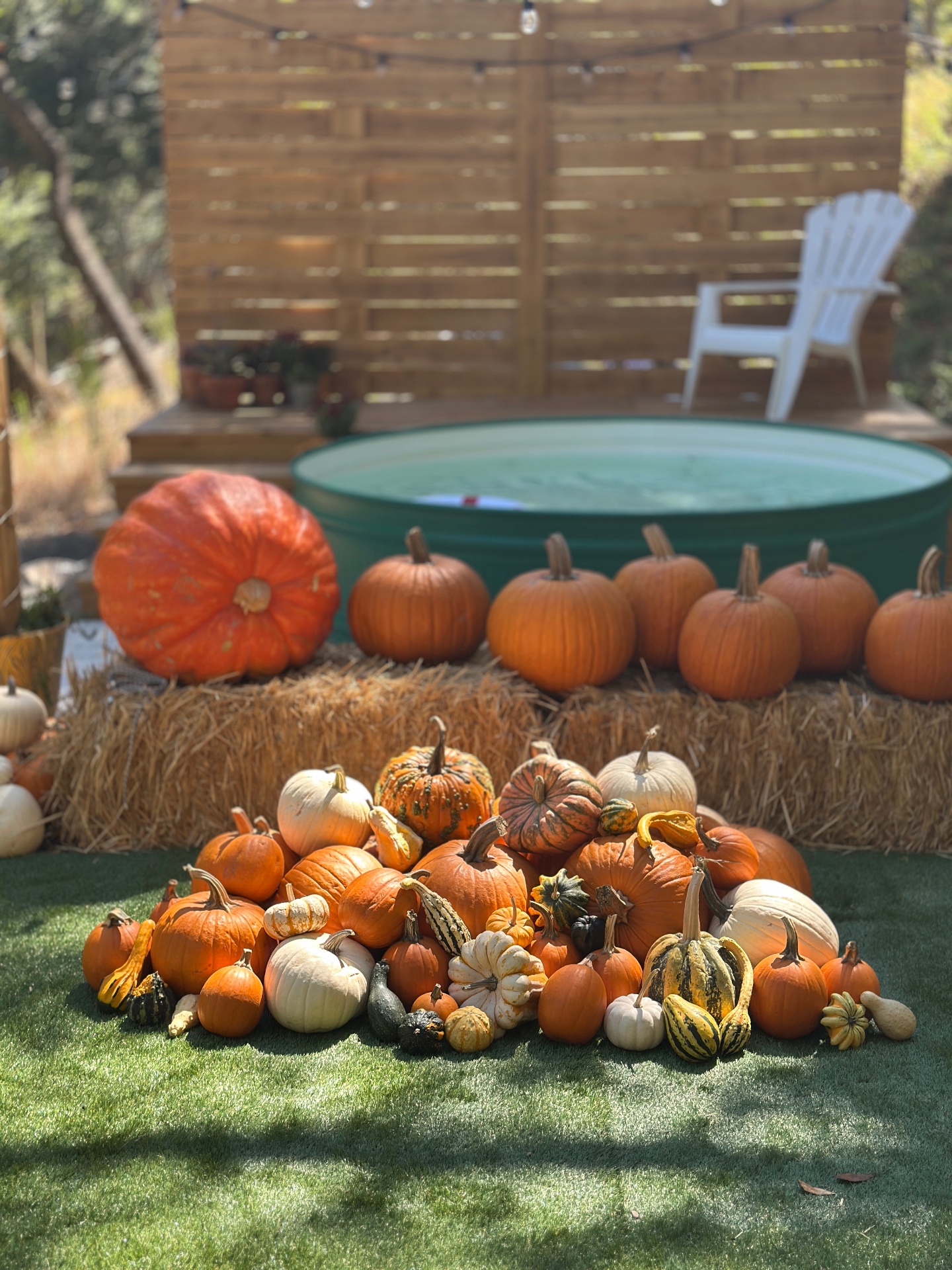 Porch Scenes | Pumpkin Concierge & Fall Porch Decoration Service